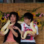 ニシキヘビ(おきなわワールド文化王国)